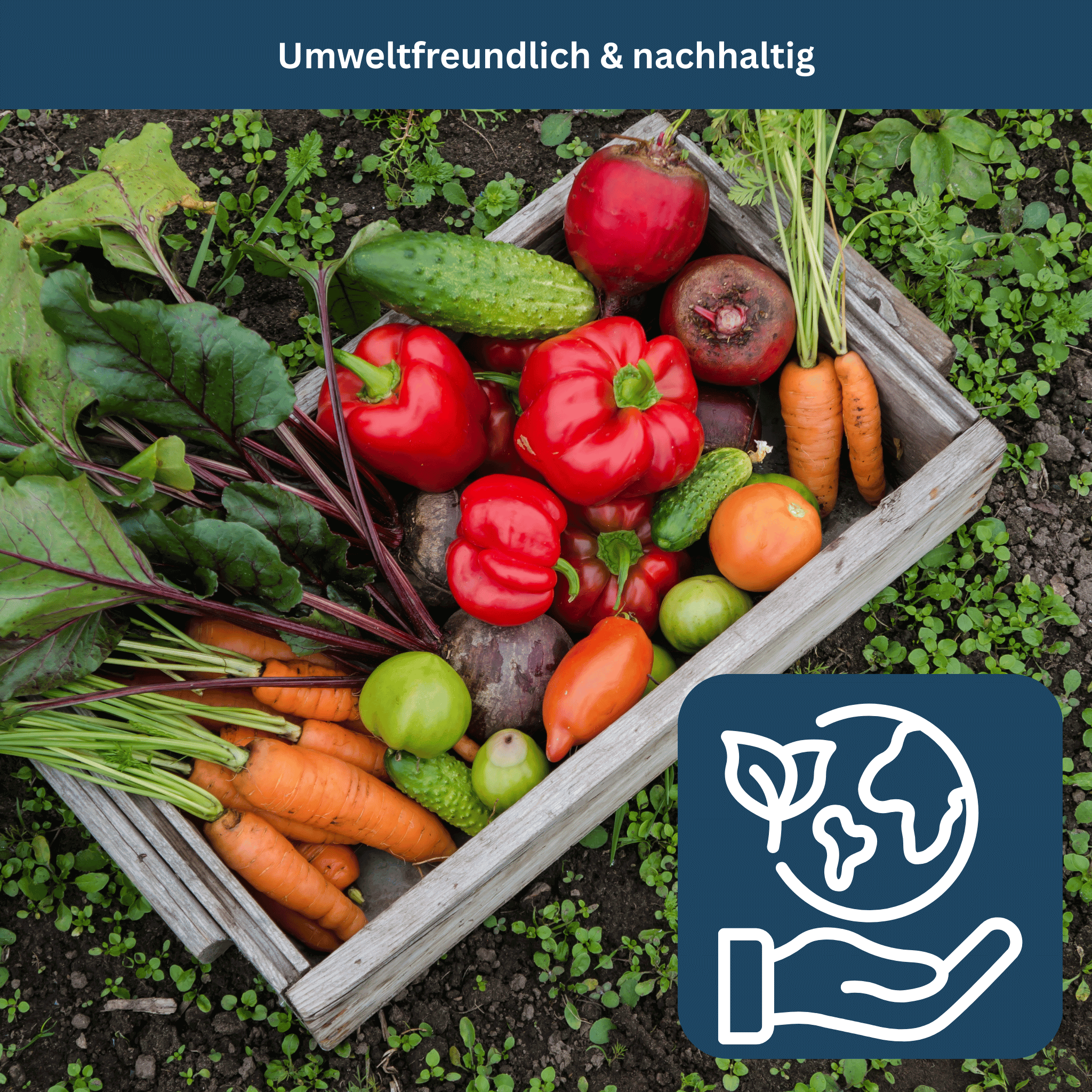 Survival Tuinset – 35 Biologische Variëteiten, 16.000+ Zaden