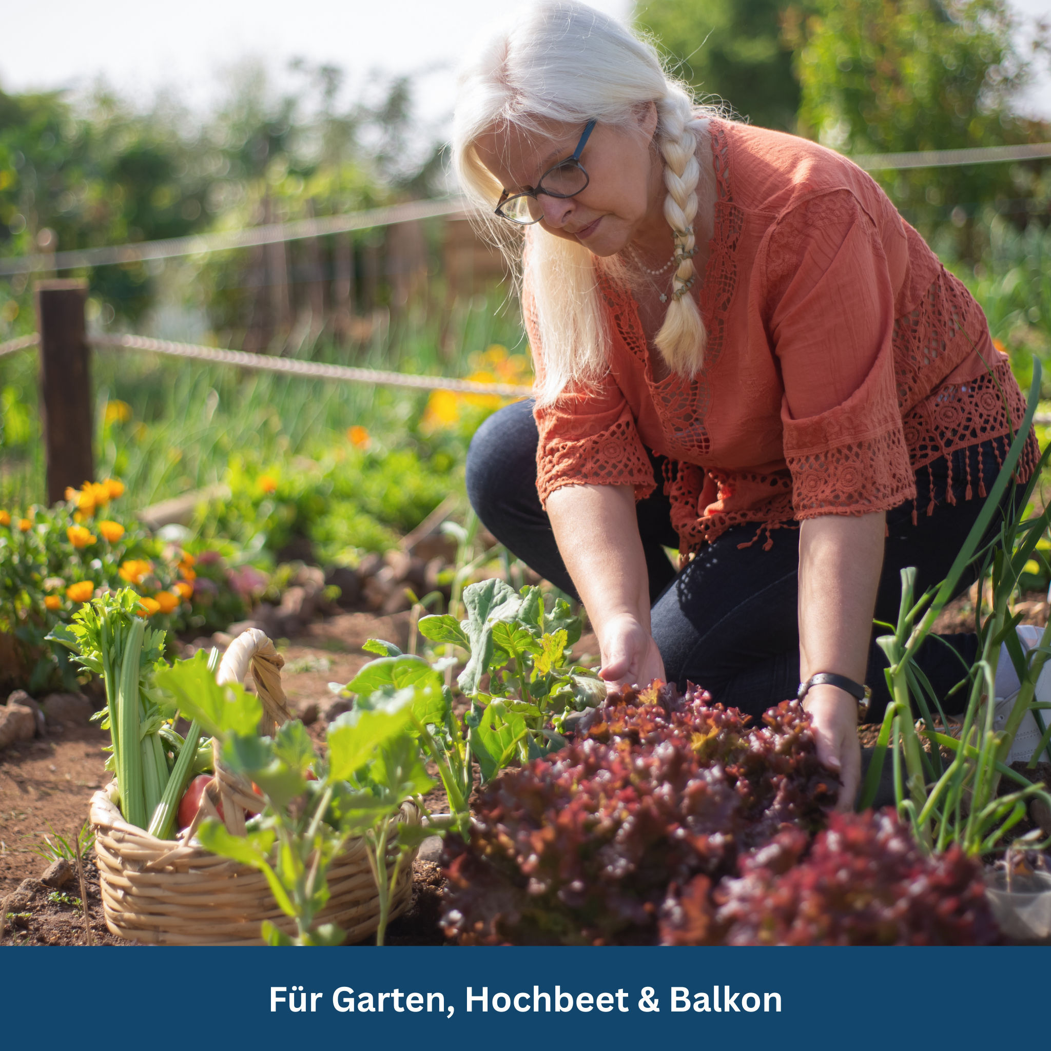 Survival Tuinset – 35 Biologische Variëteiten, 16.000+ Zaden