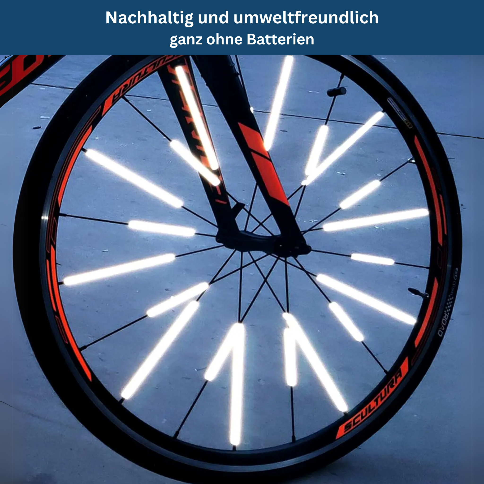 Speichenreflectoren 12-delige set